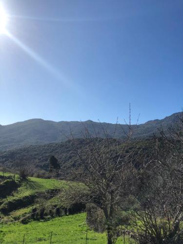 Maison de village Frasseto gîte à louer Campo