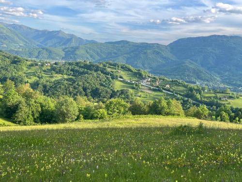 Surrounding environment, Kota 1120 in Polja