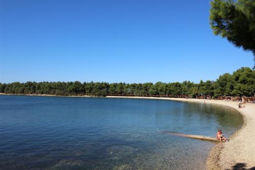 DADA Big - Location saisonnière - Novigrad