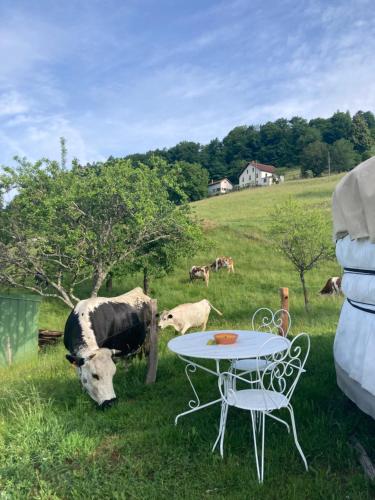 Yourte à la ferme (Yourte a la ferme) in Ramonchamp
