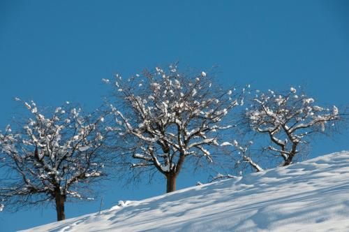 Facilities, Pracondu 2 406 - OUTDOOR & FUN apartment 6 pers in Nendaz City Center
