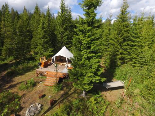 . Glamping Tent with amazing view in the forest