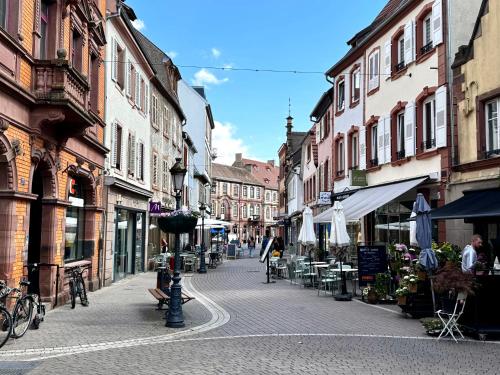 Grand et lumineux 2 pièces avec climatisation en zone pietonne (Grand et lumineux 2 pieces avec climatisation en zone pietonne) in Haguenau Városközpont