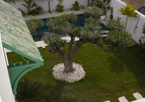 Villa élégante Ezzahra (Villa elegante Ezzahra) in Ezzahra (Bin `Arus)
