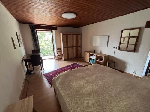 Schönes Rustico in bester Lage - 2 min an den See, Brissago (fotografie 10)