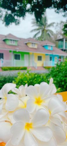 Color Beach Resort