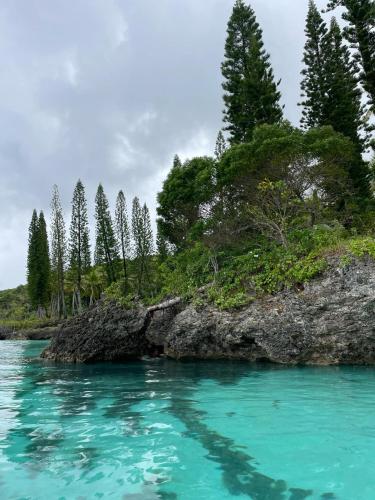 Lifou Xepenehe in Loyalty Islands