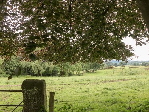Horse Shoe Cottage - image 11