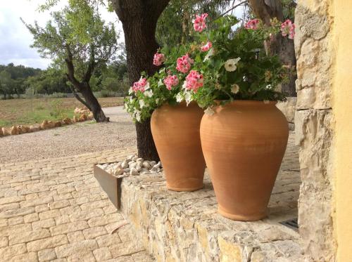 69213257 Finca Son Ametler