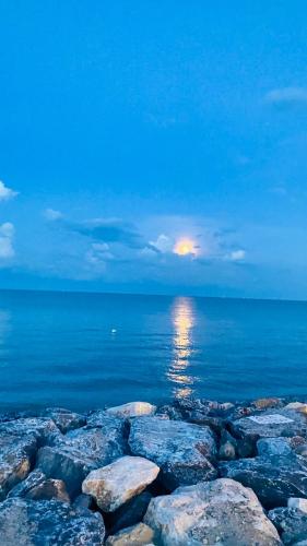 Color Beach Resort