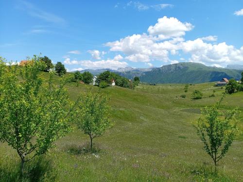 Apartment Pivljanka in Pluzine