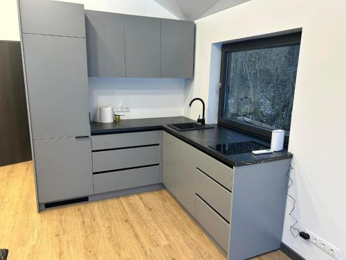 Pasienio krantas in 維薩吉納斯