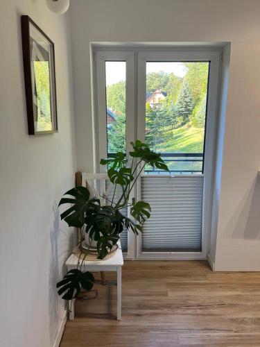Apartament przy Górze Witosza