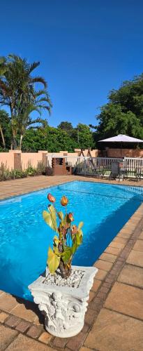 Exterior view of Aloe Self Catering