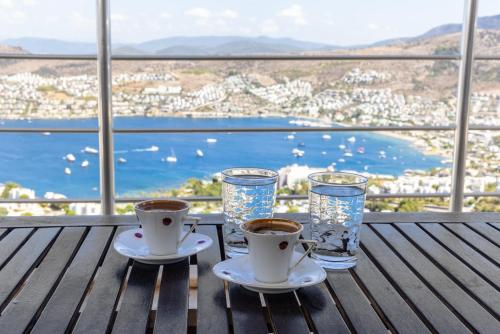 Stunning Sea View Cosy Apartment in Gundogan