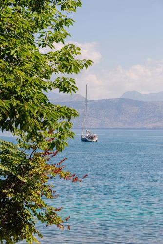George & Danai apartments, Kassiopi (zdjęcie 3)
