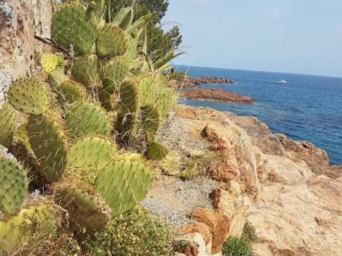 Studio cabine a St-Raphael avec terrasse et parking, a 100m de la plage - FR-1-226A-23 near Camino