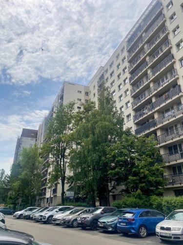 Dwa Koty in Sosnowiec