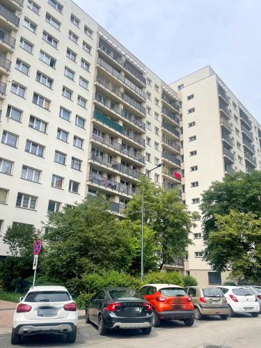 Dwa Koty in Sosnowiec