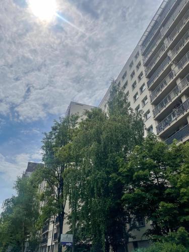 Dwa Koty in Sosnowiec