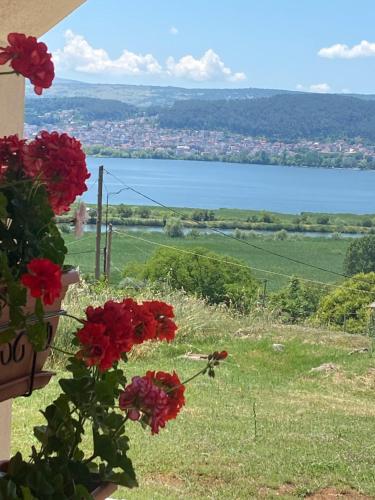 House with View in Amfithea, Ioannina (fotografie 5)