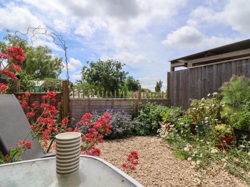 Blandford Forum Tiny Willow 3-Star Single Room suite