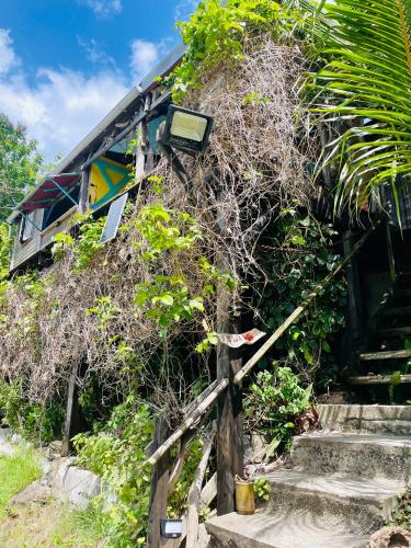 Gîte Ti Kazalo, cabane perchée, vue mer spectaculaire, pieds dans l'eau (Gite Ti Kazalo, cabane perchee, vue mer spectaculaire, pieds dans l'eau) in Terre-de-Haut