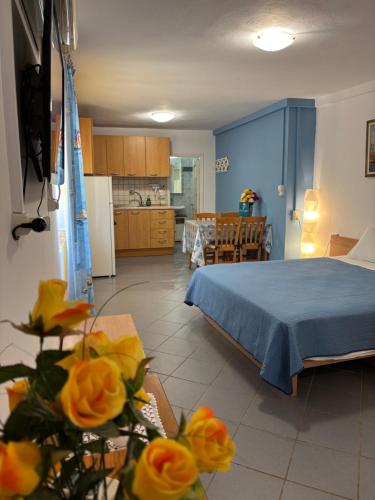 Filio rooms