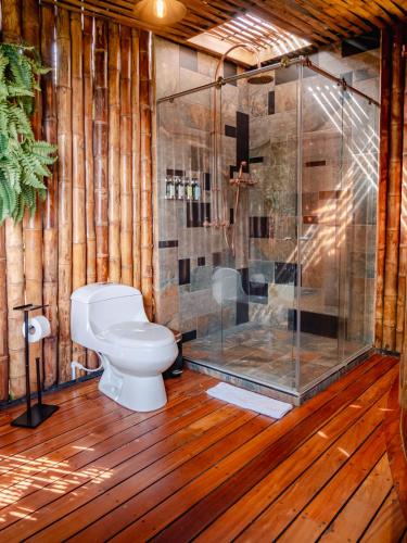 Atardeceres del Cafe