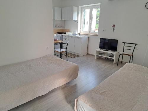 apartmaji strunjan in Strunjan