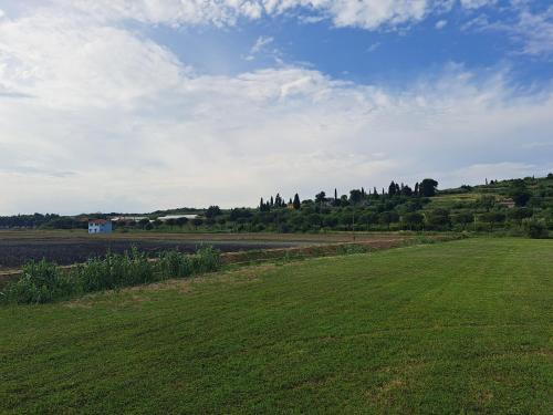 apartmaji strunjan in Strunjan