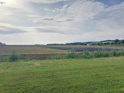 apartmaji strunjan in Strunjan