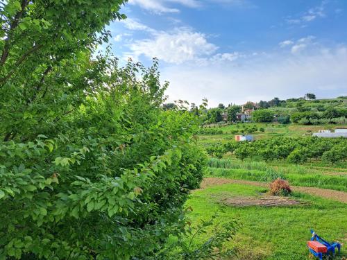 apartmaji strunjan in Strunjan