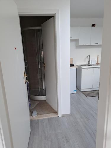 apartmaji strunjan in Strunjan