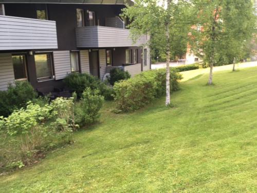 Vista exterior, Family studio Resident s terasou a garáží (Family studio Resident s terasou, garazi, kuchynskou linkou, vhodne i pro rodiny s detmi, u sjezdovk) in Harrachov