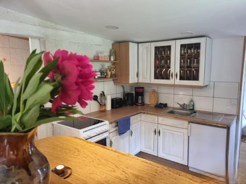 Alpakatherapie und Ferienhof Charlottenthal in Krakow am See