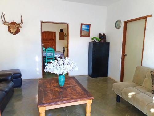 Casa Las Margaritas in Cuatrocienegas de Carranza