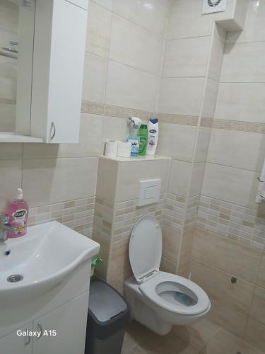 Apartman Mira in Banja Koviljaca