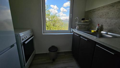 virtuve, Apartman Kušići (Apartman Kusici) in Kusici