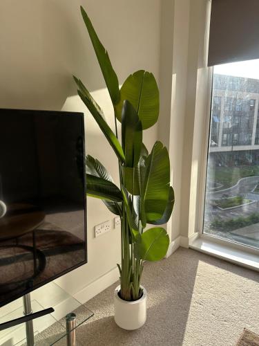 Modern 2 BD - Central MCR - Terrace - Free Parking, Manchester (foto 6)
