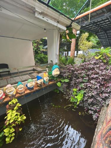 Purple Orchid Bed and Breakfast