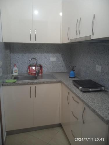 One-Bedroom Apartment image 1