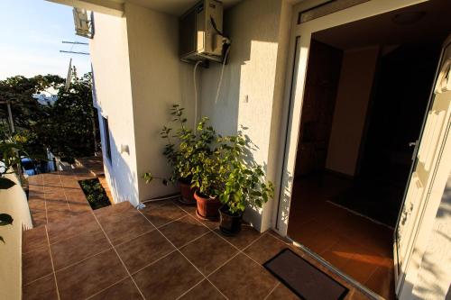 Orange tree residency - Sea & mountain panorama - image 2