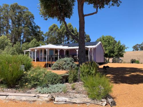 Belmira Vines Private Vineyard Escape!