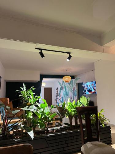 Laureles Garden Hostel, Medellín (Foto 6)