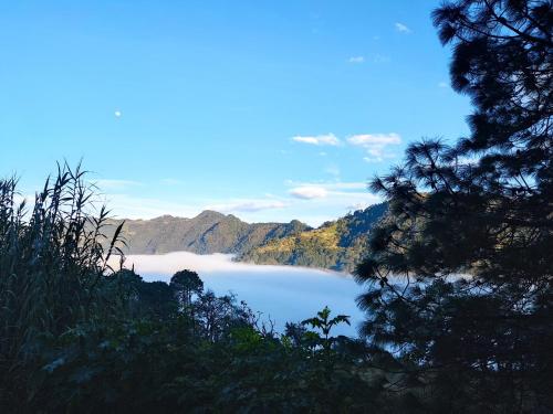 cabañas Ticomulco (cabanas Ticomulco) in Col Linda Vista Centro