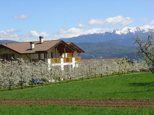 Agriturismo Girasole - Hotel - Fai della Paganella