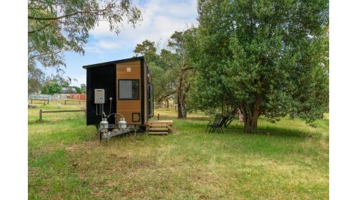 المنظر الخارجي, Skye High Cabin by Tiny Away in Carrum Downs