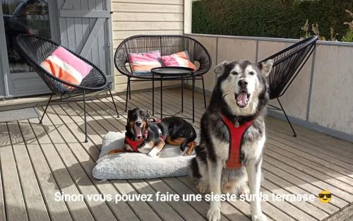 Maison au calme entre Caen et Cabourg in Breville Les Monts