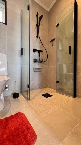 Villa Vinja in Ystad